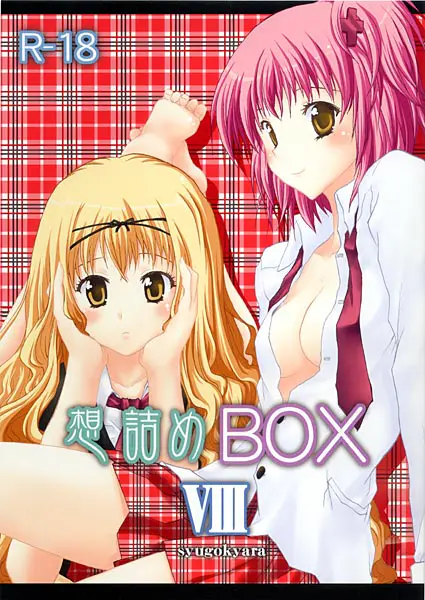 想詰めBOX VIII